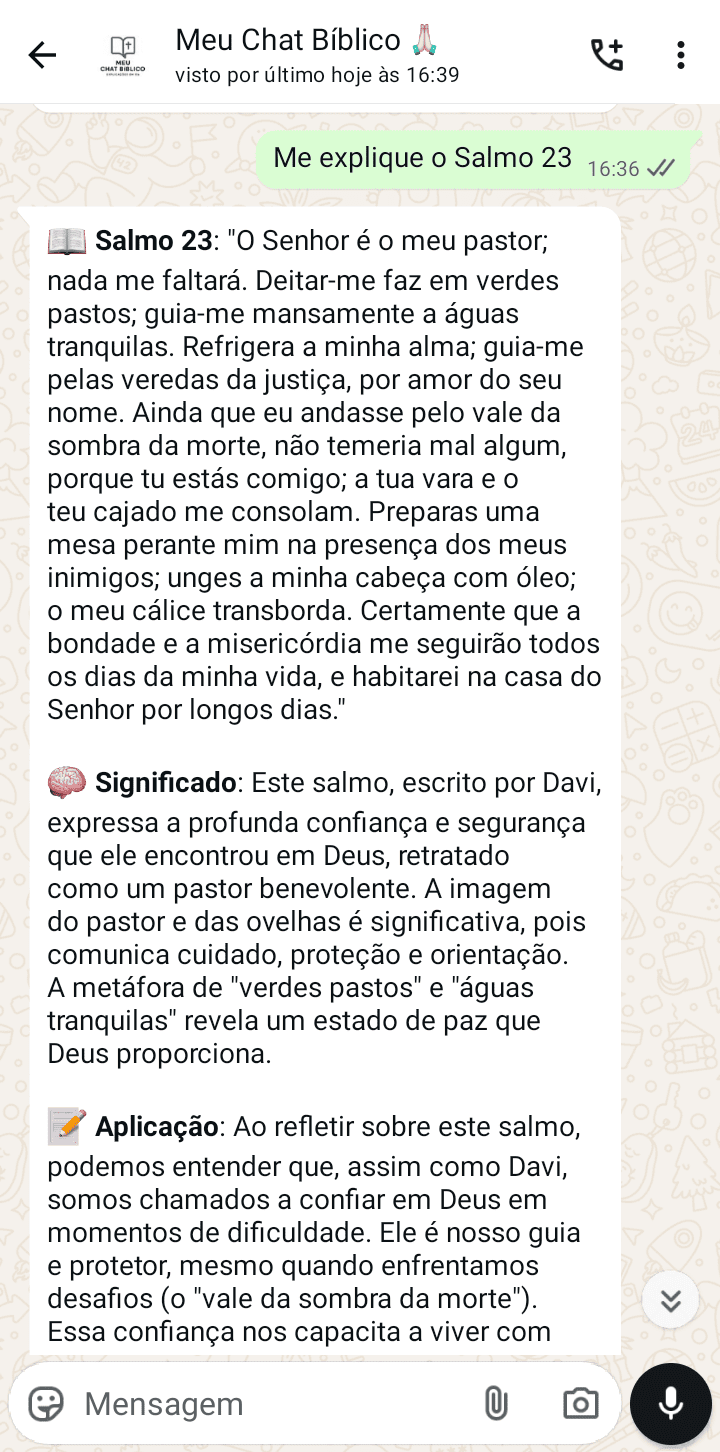 Screenshot (21 de nov. de 2025 16_39_21) (1)